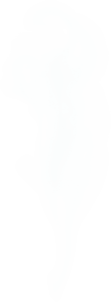 Realistic white smoke steam, waves